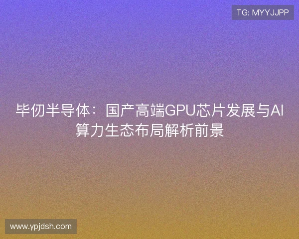 毕仞半导体：国产高端GPU芯片发展与AI算力生态布局解析前景